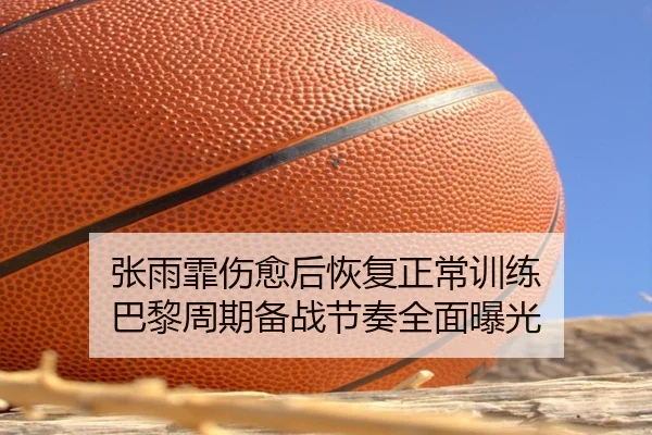 张雨霏伤愈后恢复正常训练 巴黎周期备战节奏全面曝光